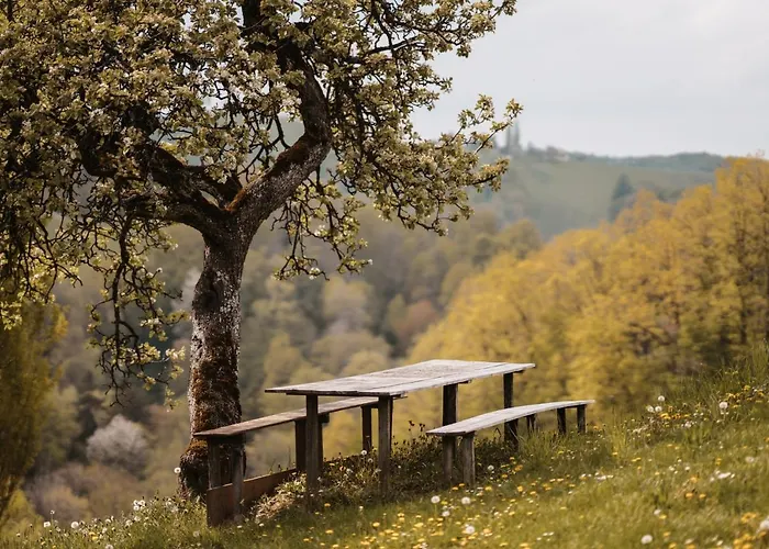 Perner - Huabm * Gamlitz