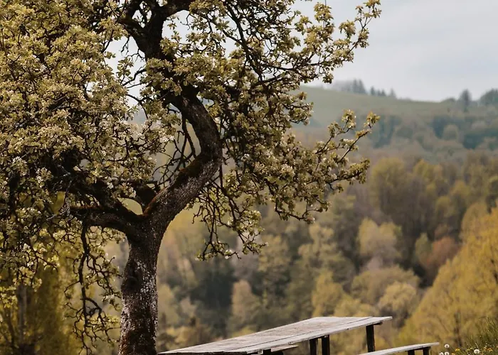 Perner - Huabm Daire Gamlitz